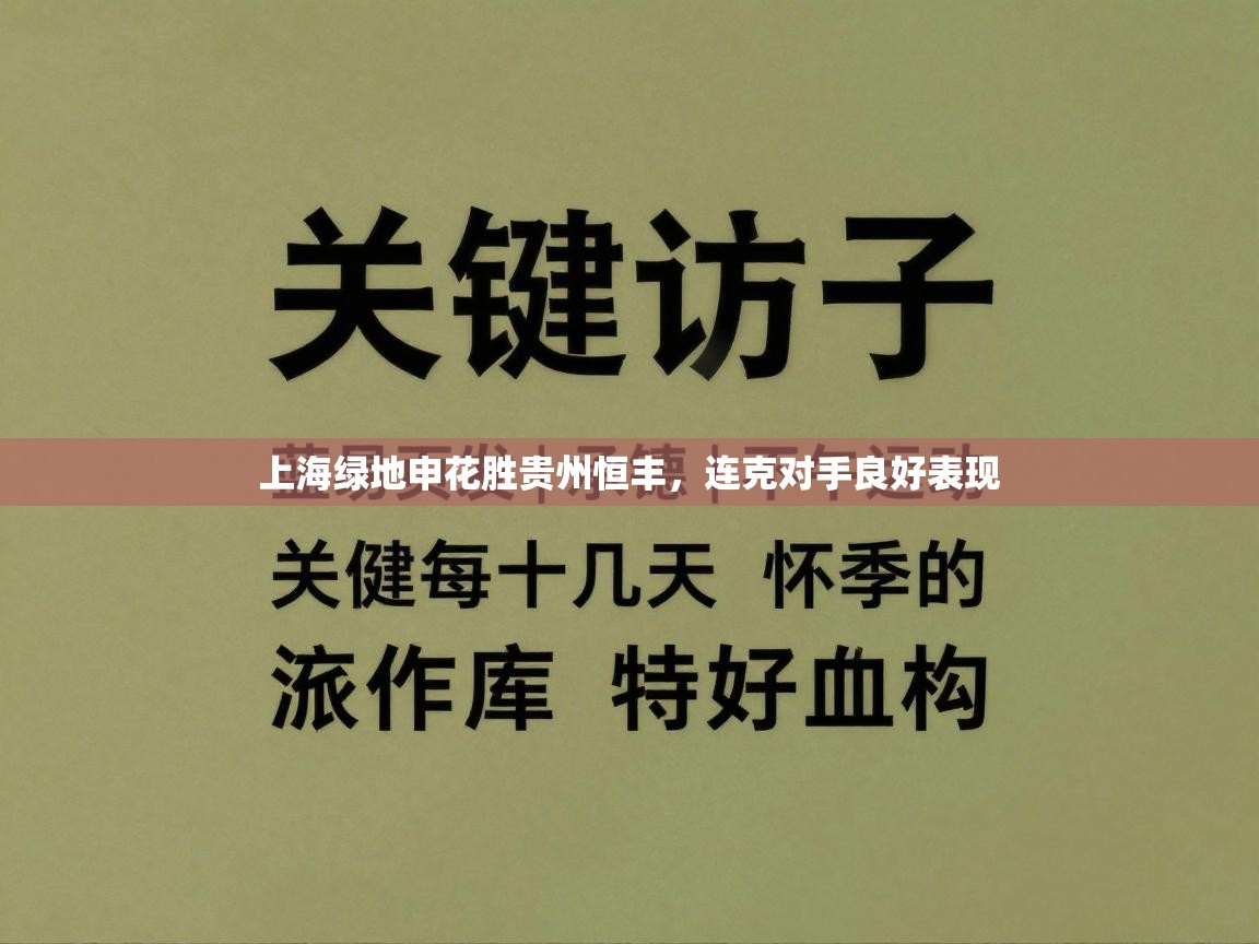 上海绿地申花胜贵州恒丰，连克对手良好表现  第1张